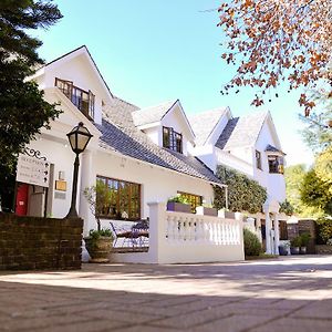 5Th Avenue Gooseberry Guest House